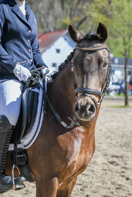 比赛经验 比赛经验