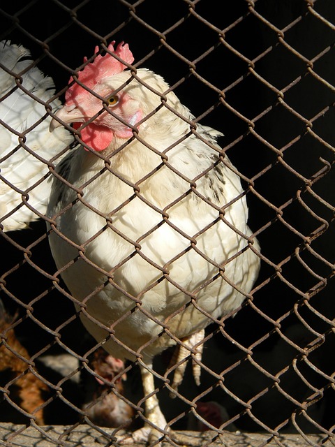 悍的实力 悍的实力