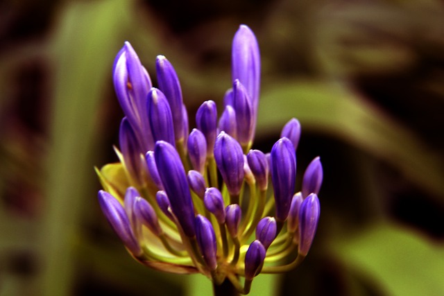 在比赛第 在比赛第