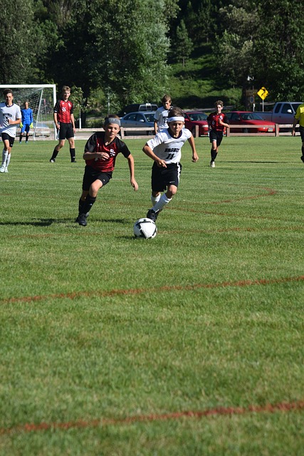 西海岸到手 西海岸到手